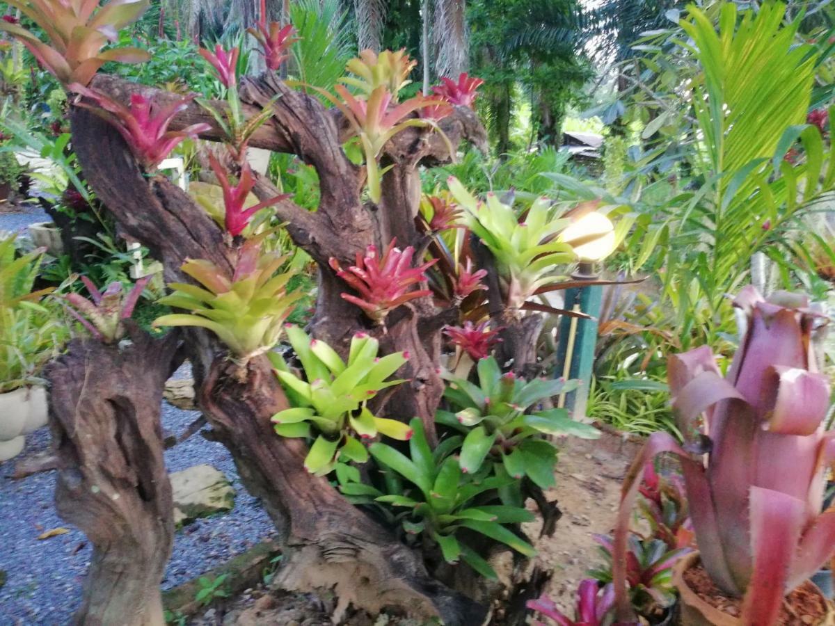 Smile Home Krabi Klong Moung Beach 功孟海滩 外观 照片